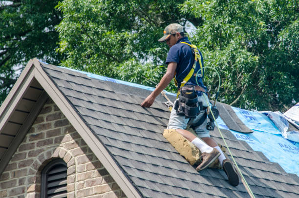 Best Shingle Roofing Installation  in Brookville, PA